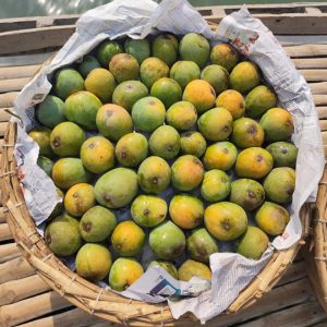 হিমসাগর | Himsagar