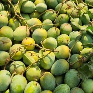 হিমসাগর IHimsagar (সাতক্ষীরা)